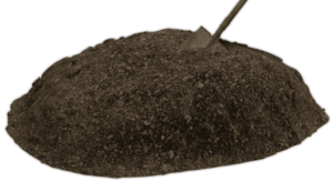 Dirt