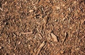 Wood Chips