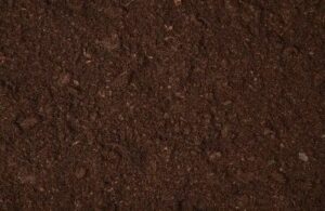 Screened Topsoil
